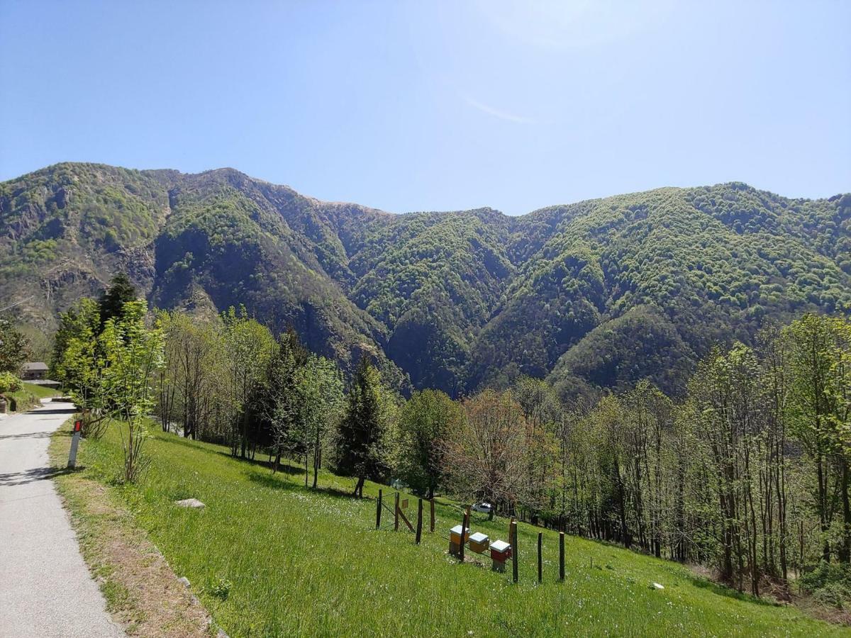 Ostello Del Parco Di Cicogna Dış mekan fotoğraf