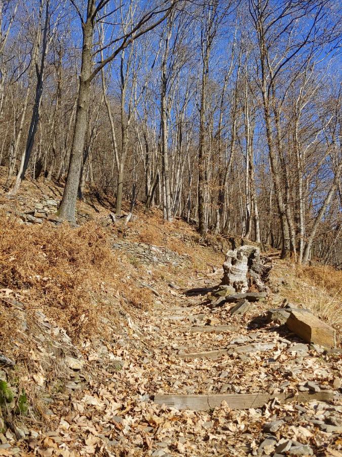 Ostello Del Parco Di Cicogna Dış mekan fotoğraf